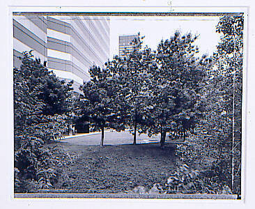 Approximate location of 228 W. Main, looking east, Oklahoma City, Oklahoma
