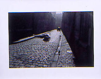 Pigeon in Cobbled Street, Orléans